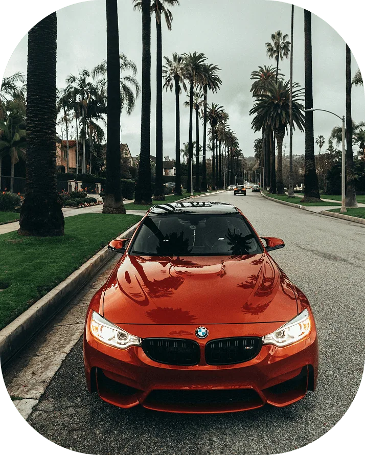Orange BMW M3 parked on a palm-lined street